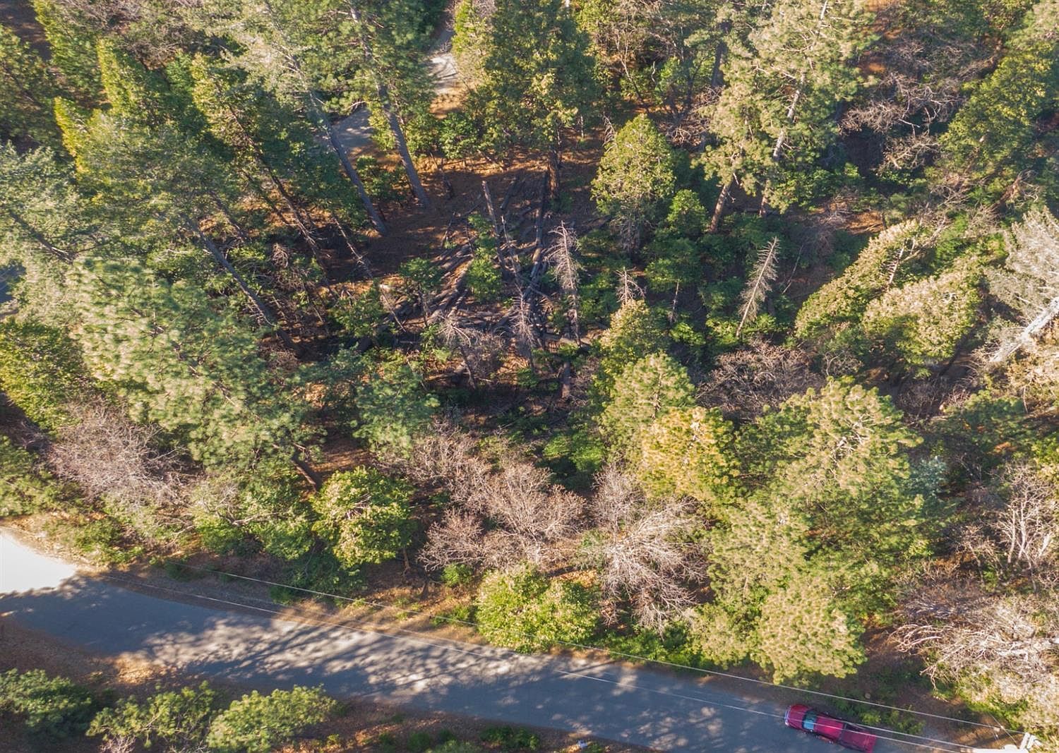 24184 Awahanee Rd Sonora, CA 95370 - Thumbnail 3