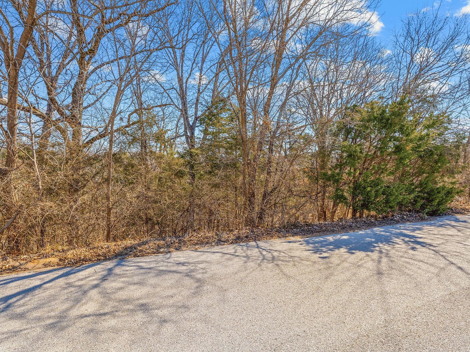 LOT 49 Eagle Dr Forsyth, MO 65653 - Thumbnail 3