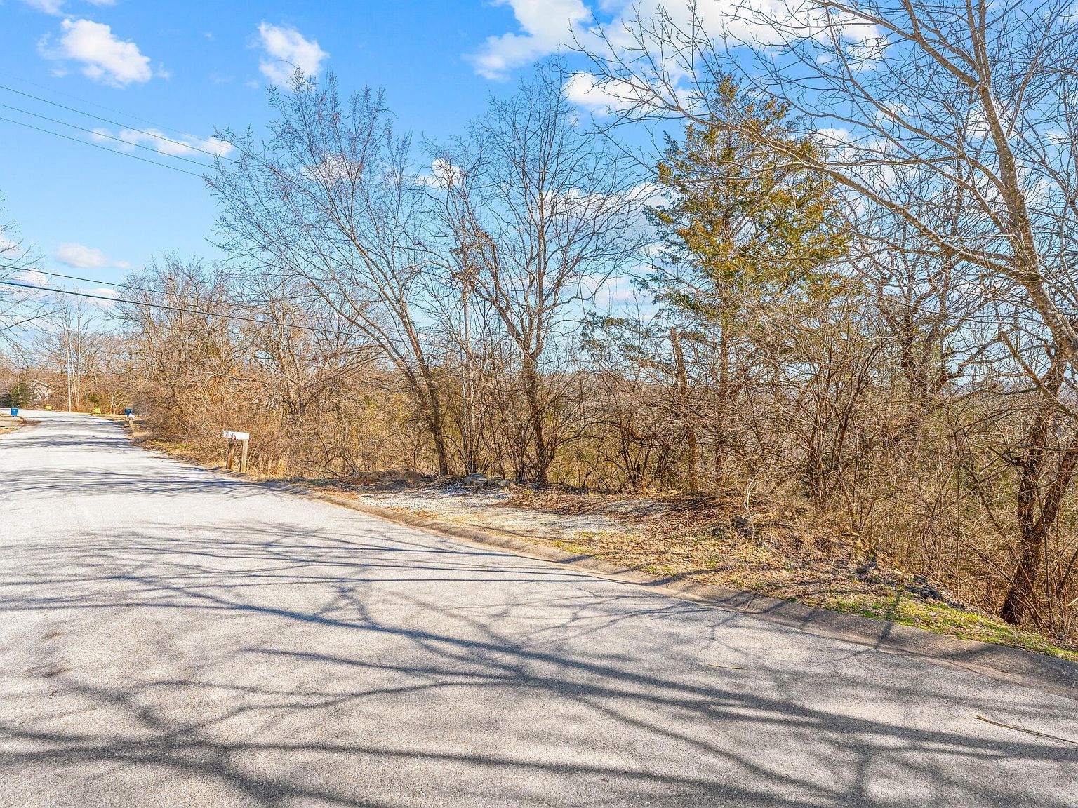 LOT 51 Eagle Dr Forsyth, MO 65653 - Thumbnail 3