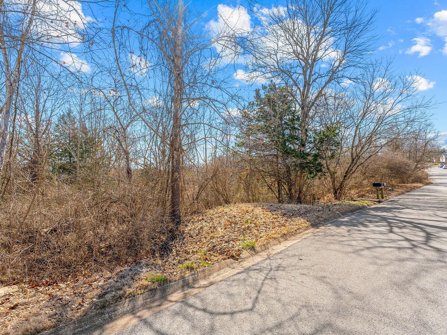 LOT 53 Eagle Dr Forsyth, MO 65653 - Thumbnail 3