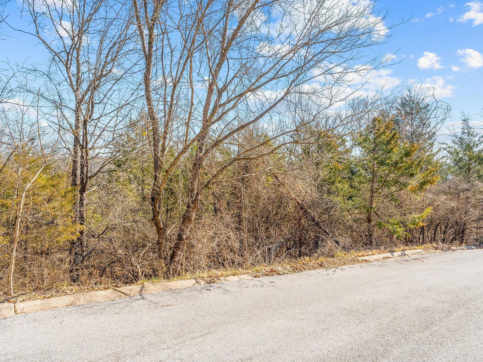 Lots 62 & 63 Eagle Dr Forsyth, MO 65653 - Thumbnail 3