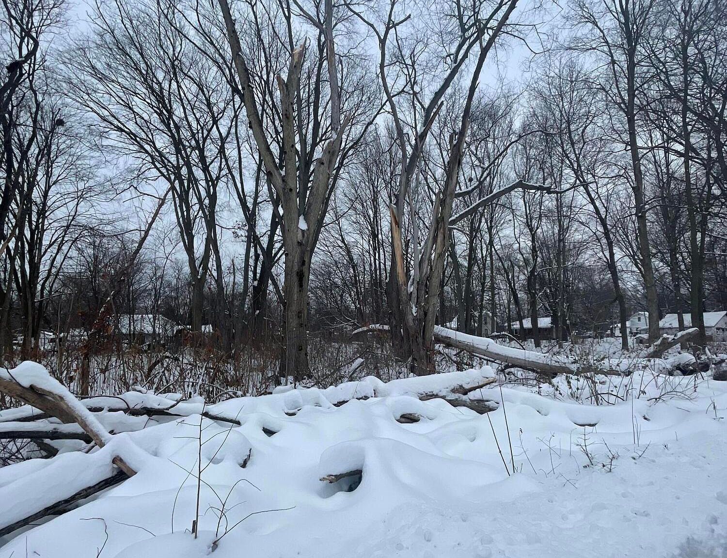 V/l 13th And Cypress Ct Three Rivers, MI 49093 - Thumbnail 3