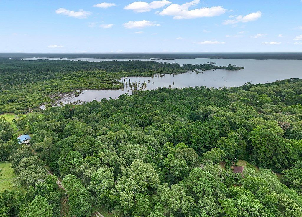 10625 County Road 476 Broaddus, TX 75929 - Thumbnail 3