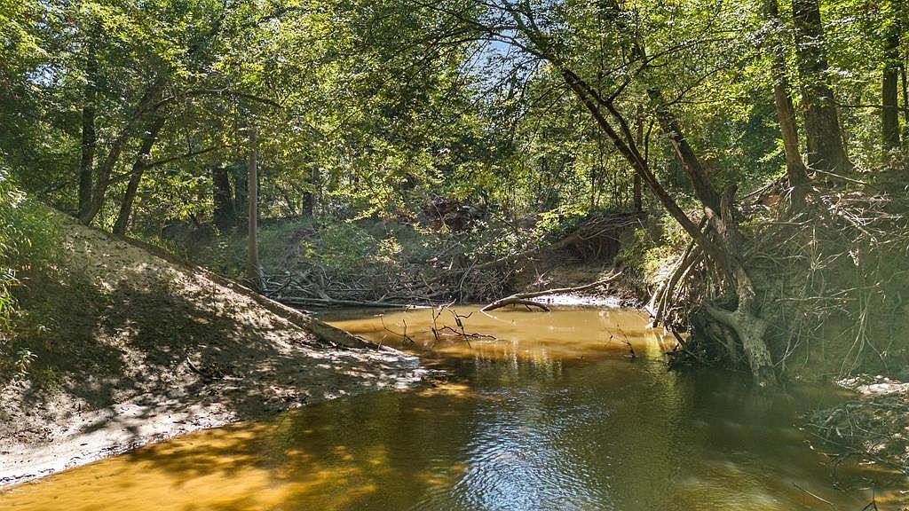 Fm 2626 Bon Wier, TX 75928 - Thumbnail 3