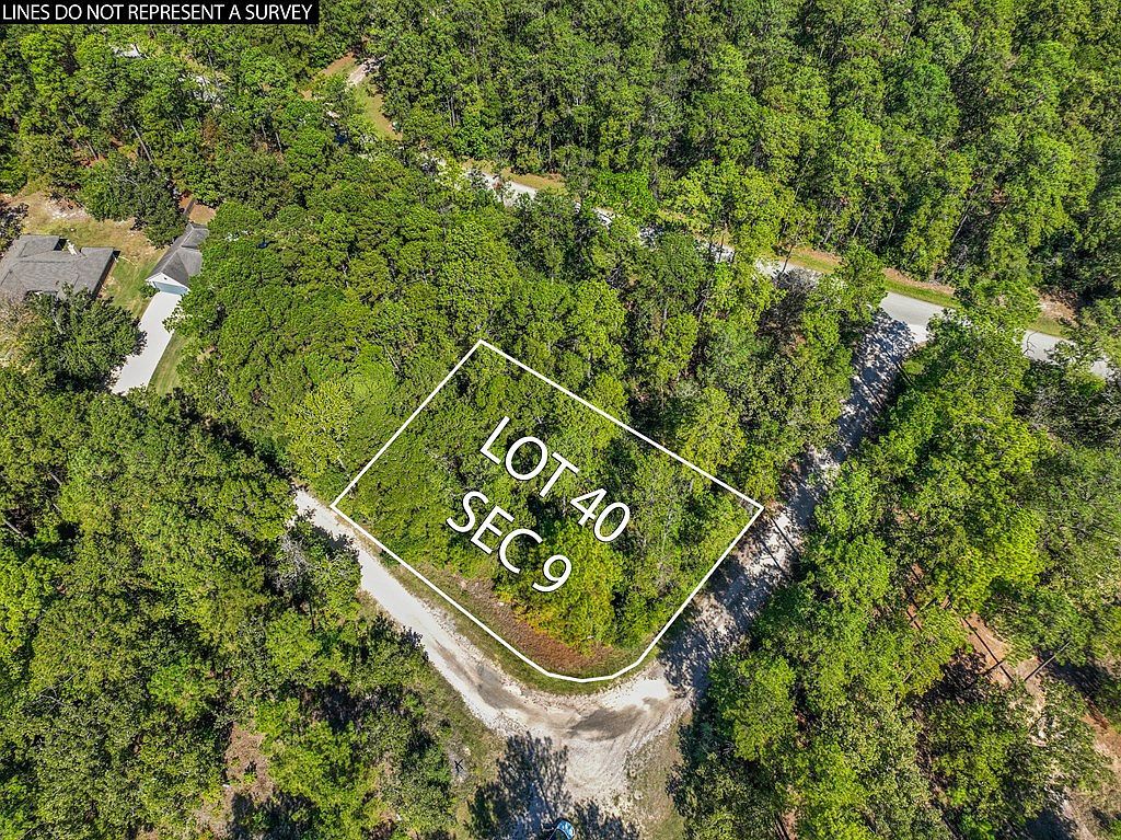 140 Brentwood Dr Brookeland, TX 75931 - Thumbnail 3