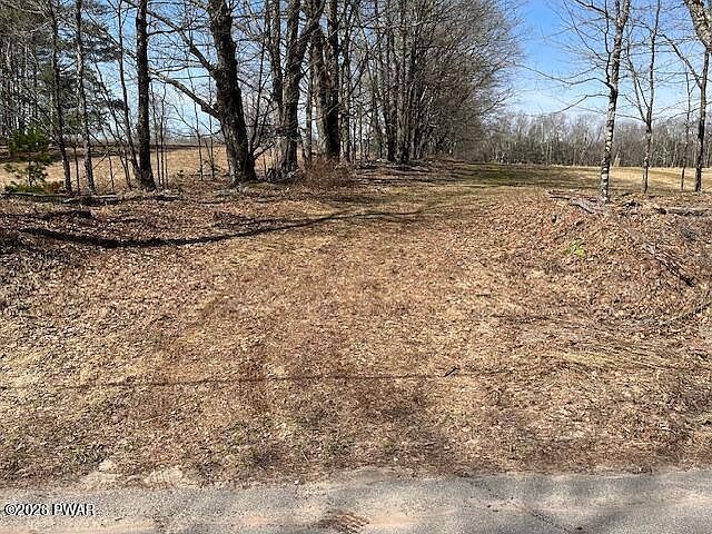 Hurd And Parks Rd Swan Lake, NY 12783 - Thumbnail 3