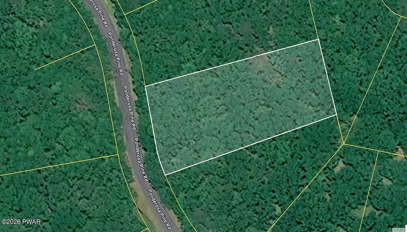 35 Ponderosa Pine Rd Hawley, PA 18428 - Thumbnail 3
