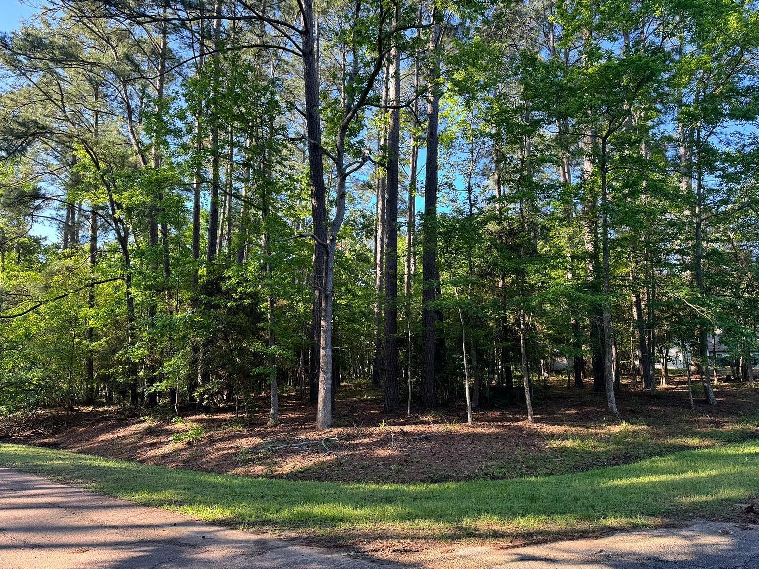 123 S Royale Greens Dr Coldspring, TX 77331 - Thumbnail 3