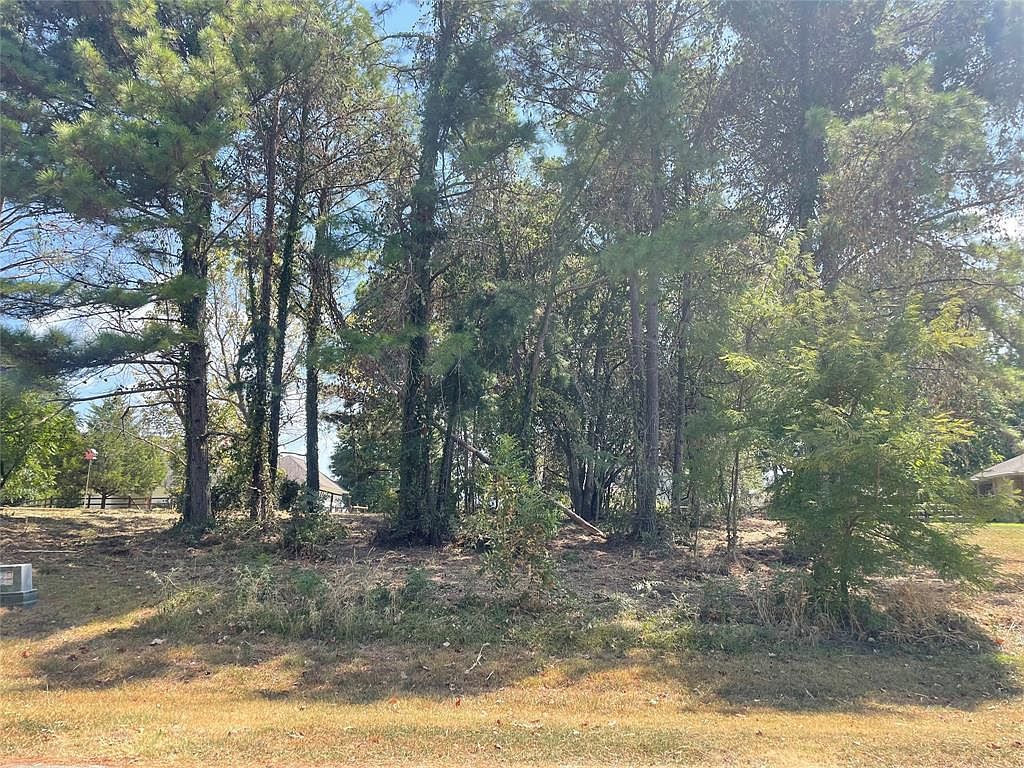 18 & 20 Harbour Point Cir LOT 10-11 Coldspring, TX 77331 - Thumbnail 3