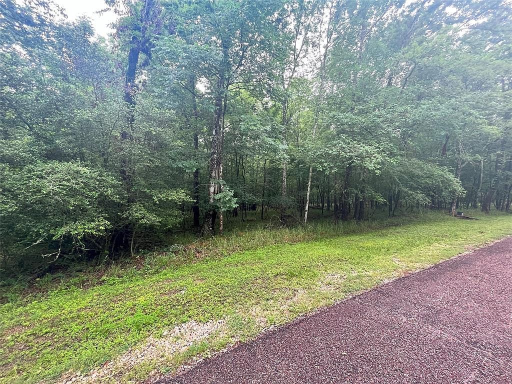 74 S Royale Greens Dr LOT 40 Coldspring, TX 77331 - Thumbnail 3