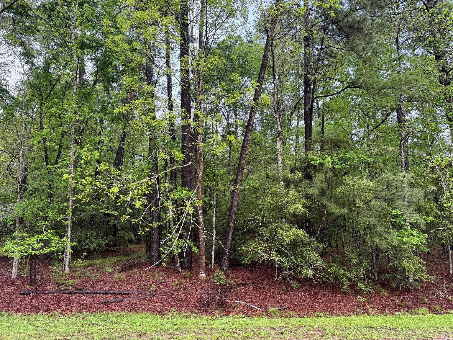 10 Wentworth Ln LOT 33 Coldspring, TX 77331 - Thumbnail 3