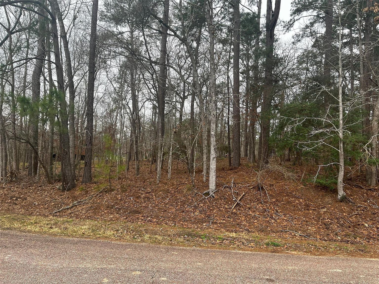 101 S Royale Greens Dr LOT 11 Coldspring, TX 77331 - Thumbnail 3