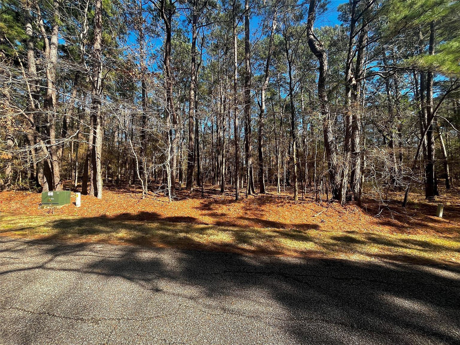 55 Green Tree Dr LOT 13 Coldspring, TX 77331 - Thumbnail 3