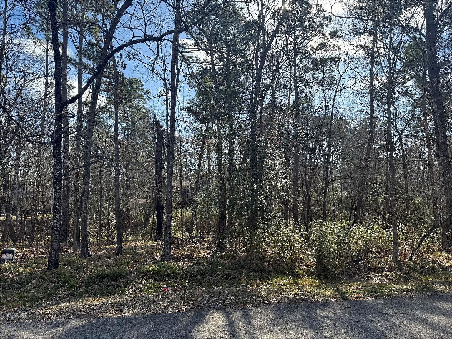 11 & 15 S Pine Harbour Dr Coldspring, TX 77331 - Thumbnail 3