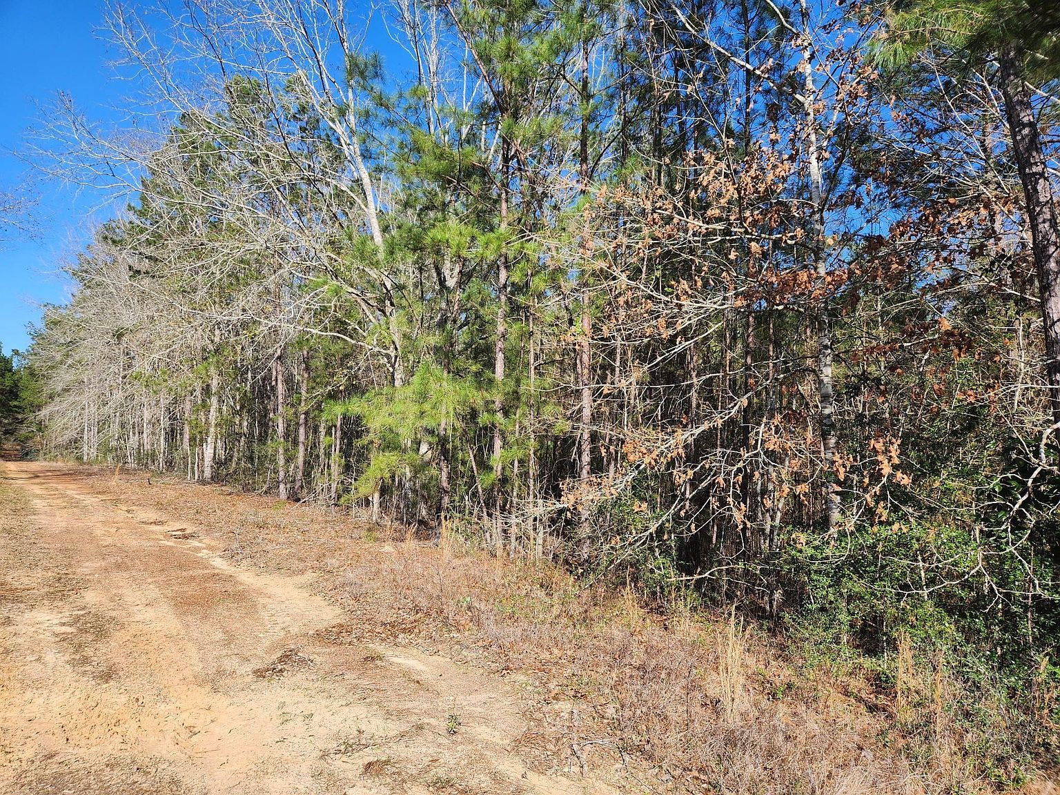 Blakely Ln LOT 24 Cleveland, TX 77328 - Thumbnail 3