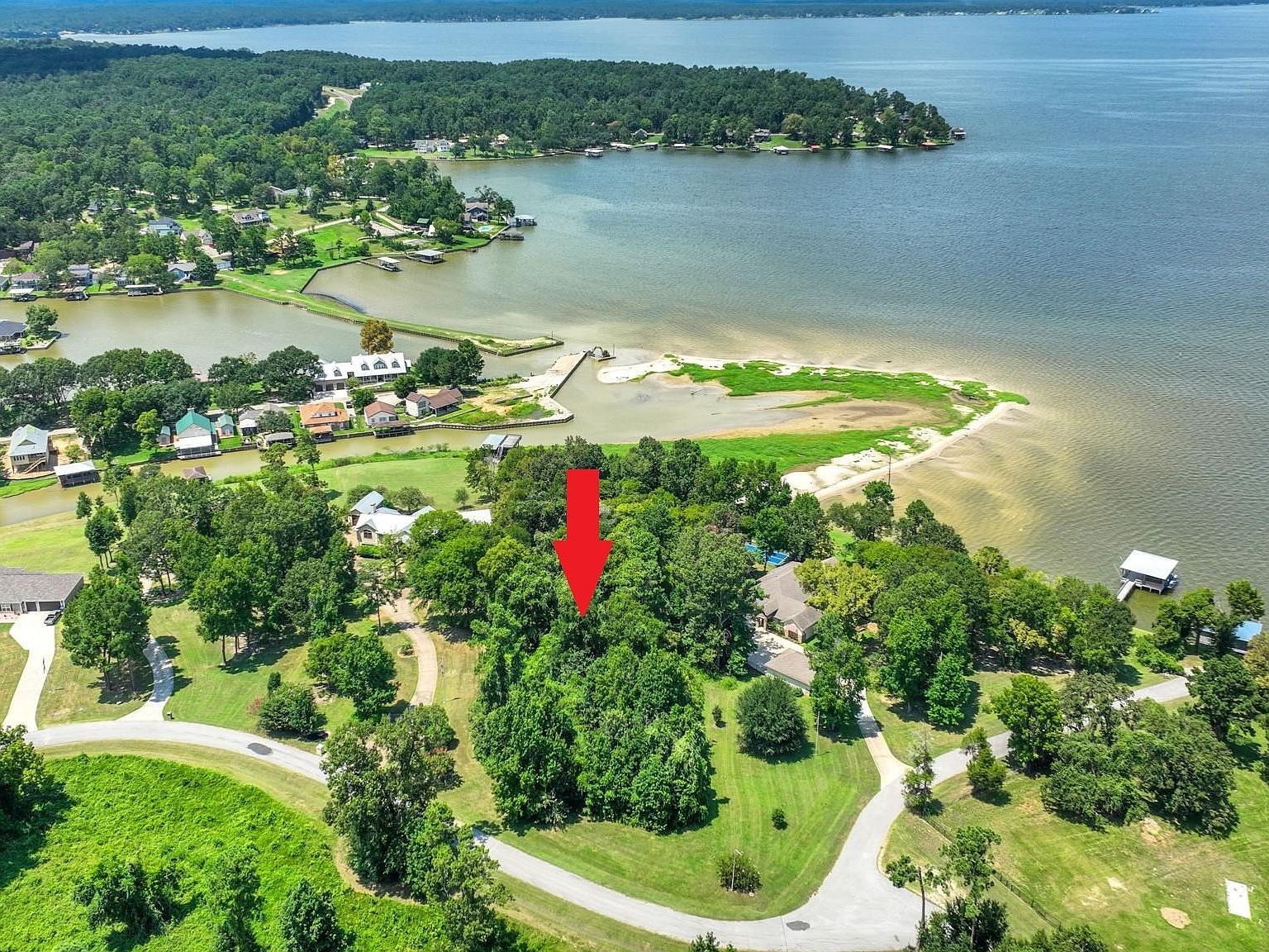 Harrell Cemetery Rd LOT 19 Coldspring, TX 77331 - Thumbnail 3