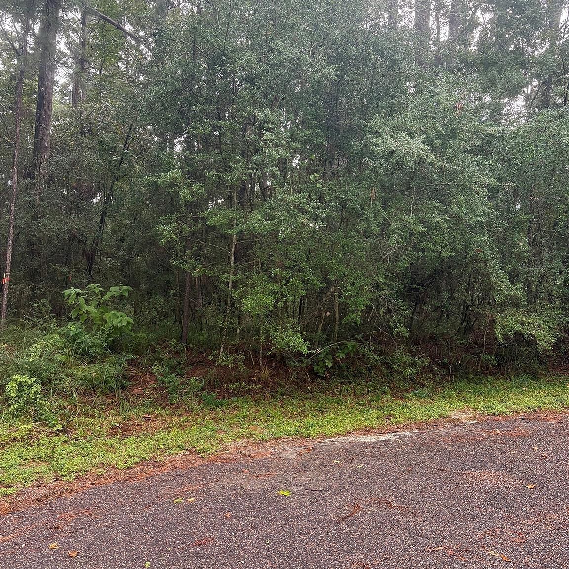 22 & 23 Helena Ct Coldspring, TX 77331 - Thumbnail 3