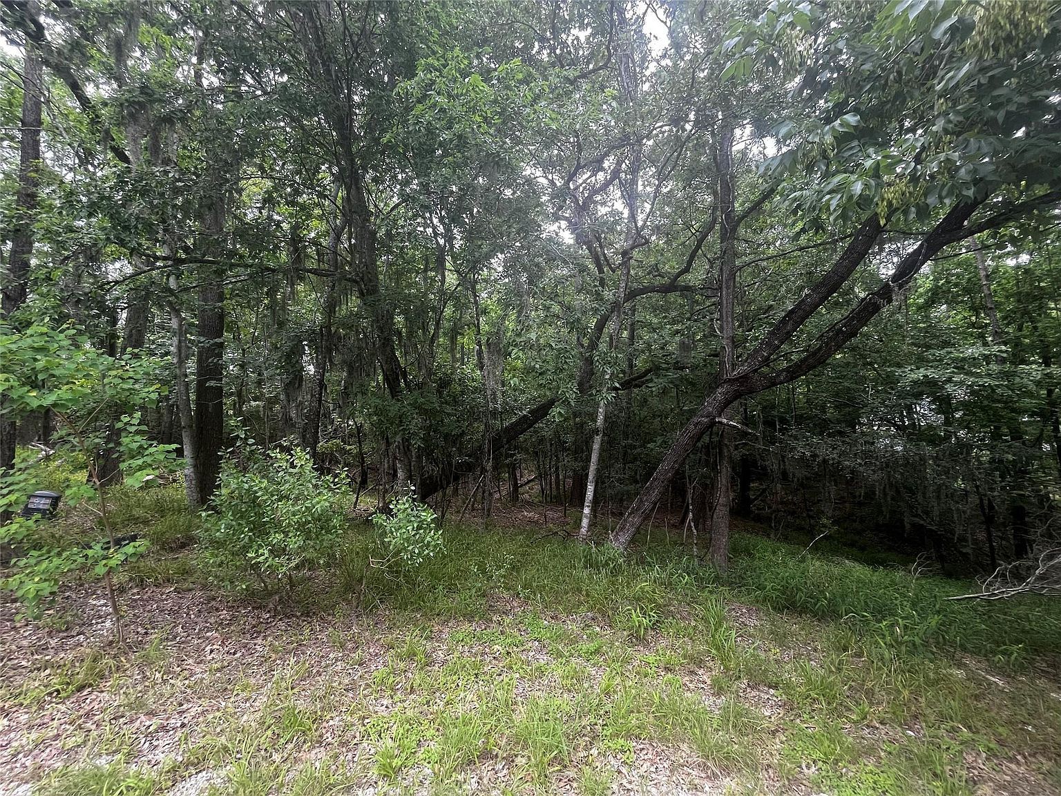 18 Timberon Ln LOT 95 Coldspring, TX 77331 - Thumbnail 3