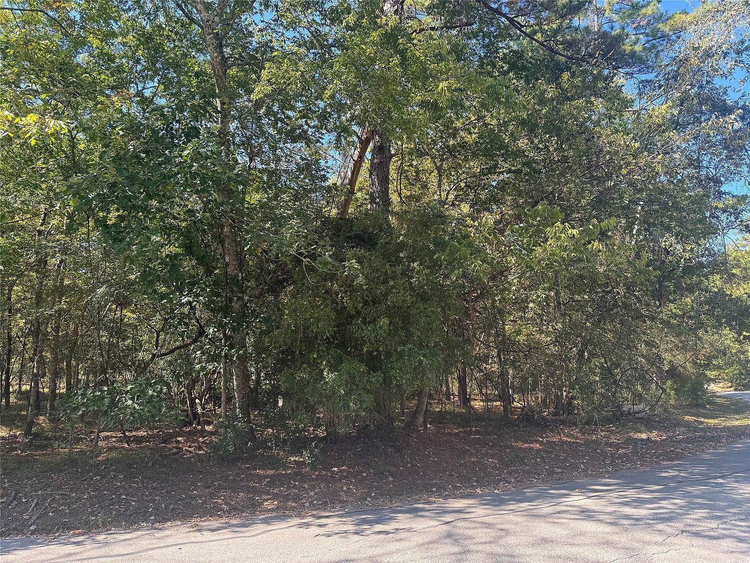 176 N Fairway Loop Coldspring, TX 77331 - Thumbnail 3