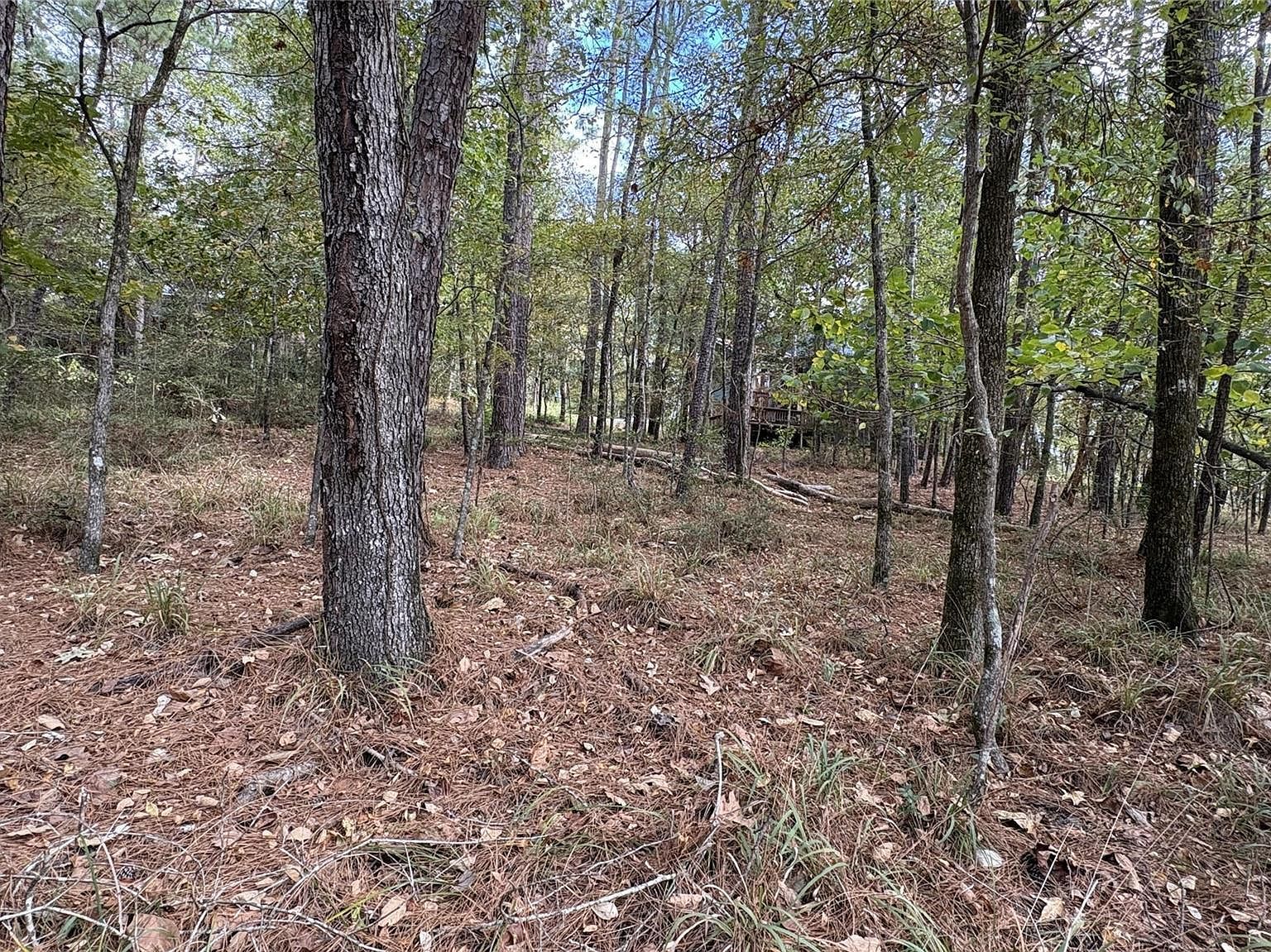 103 Green Tree Dr LOT 23 Coldspring, TX 77331 - Thumbnail 3