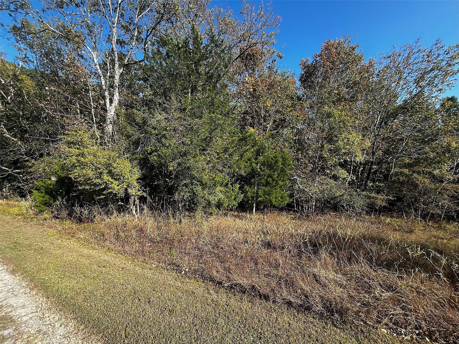 165 N Pine Harbour Dr LOT 85 Coldspring, TX 77331 - Thumbnail 3