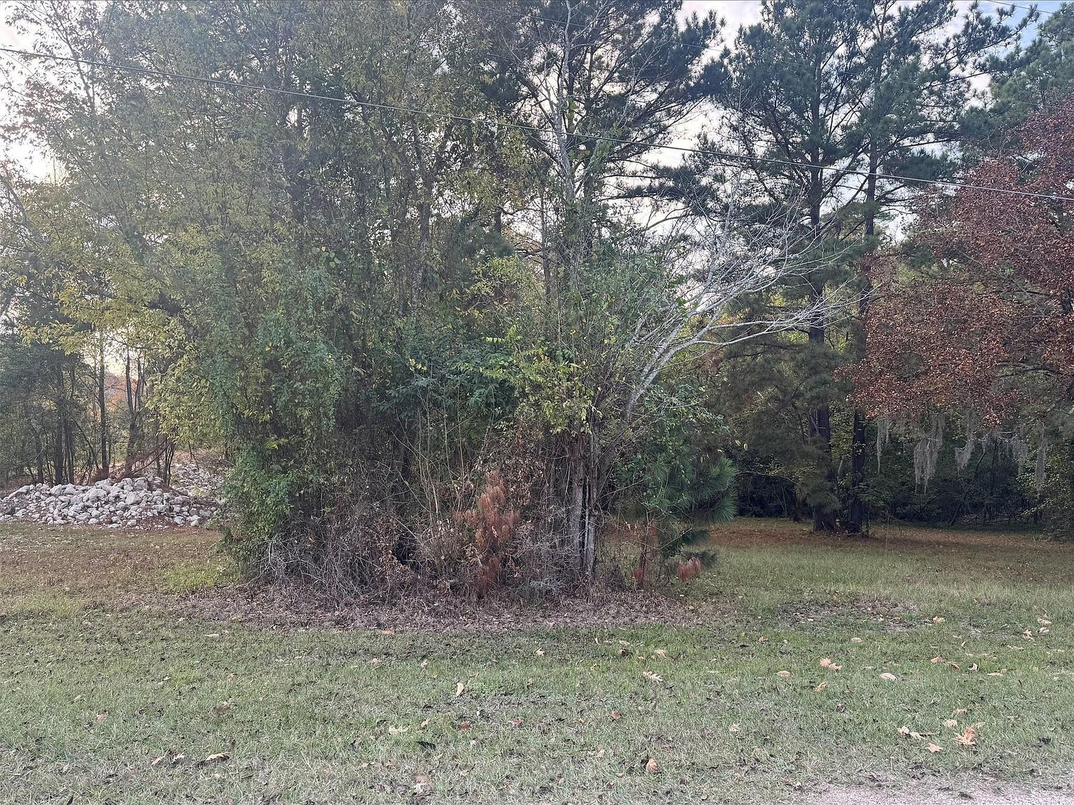 0 Silver Hickory Dr LOT 216 Coldspring, TX 77331 - Thumbnail 3