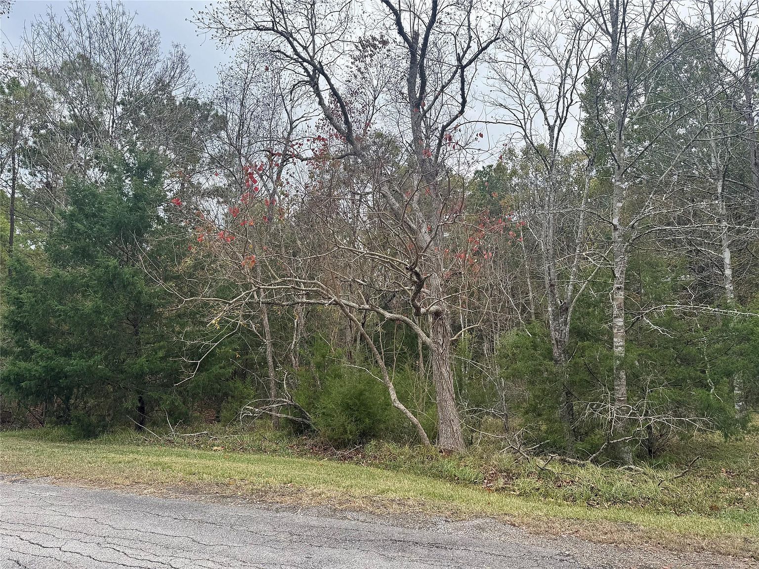 22 S Forest Cove Loop Coldspring, TX 77331 - Thumbnail 3