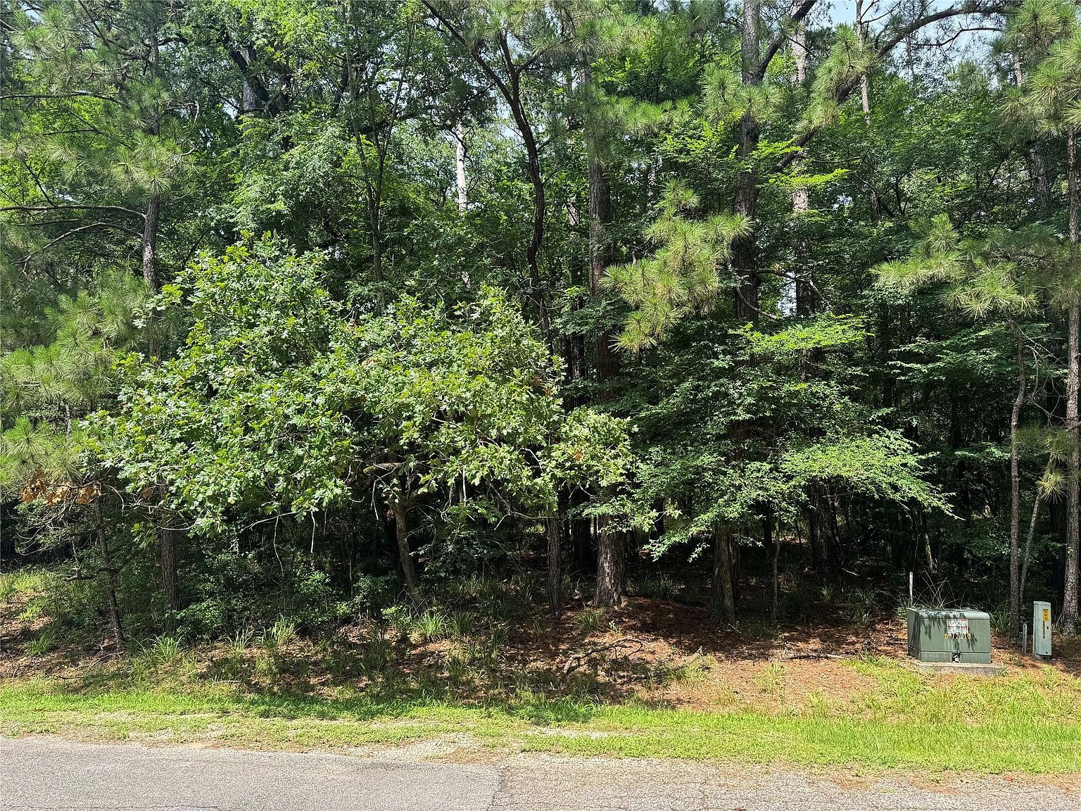 75 Green Tree Dr LOT 17 Coldspring, TX 77331 - Thumbnail 3