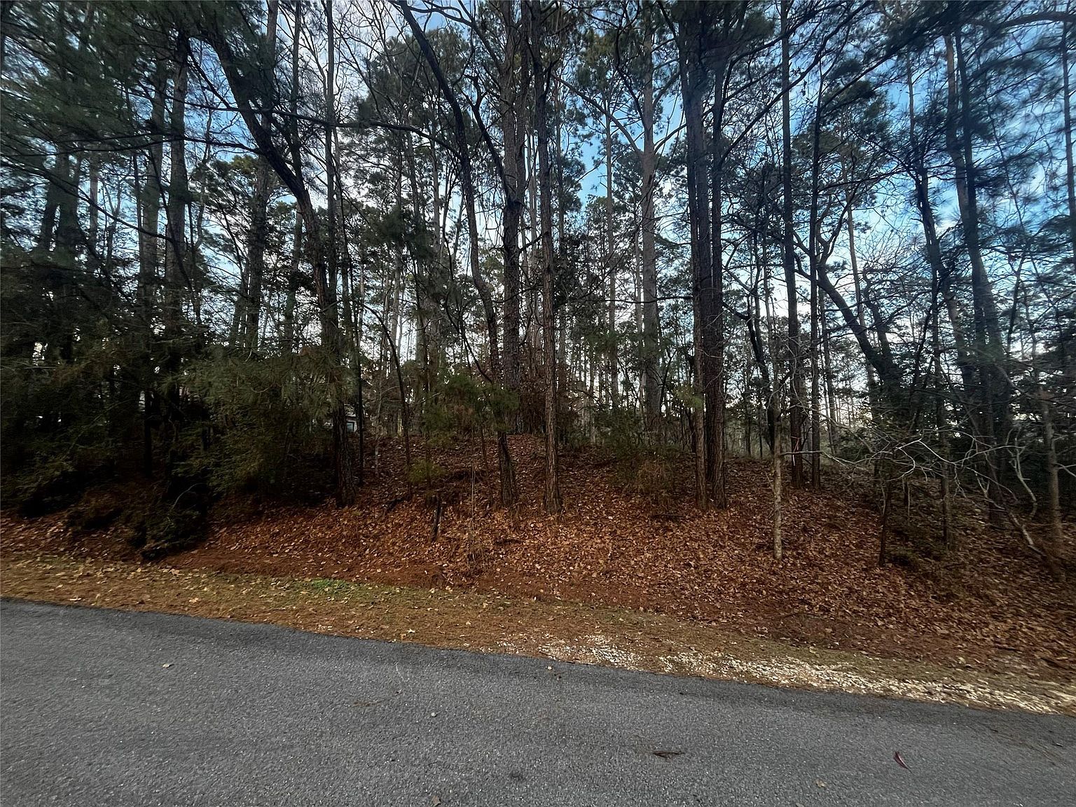 26 Sunny Hill Dr LOT 11 Coldspring, TX 77331 - Thumbnail 3