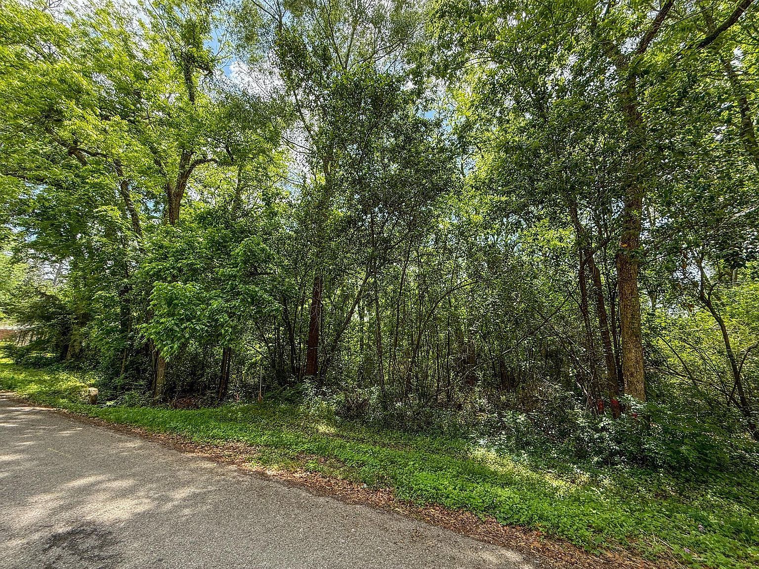 W Wheat St Lot F Woodville, TX 75979 - Thumbnail 3