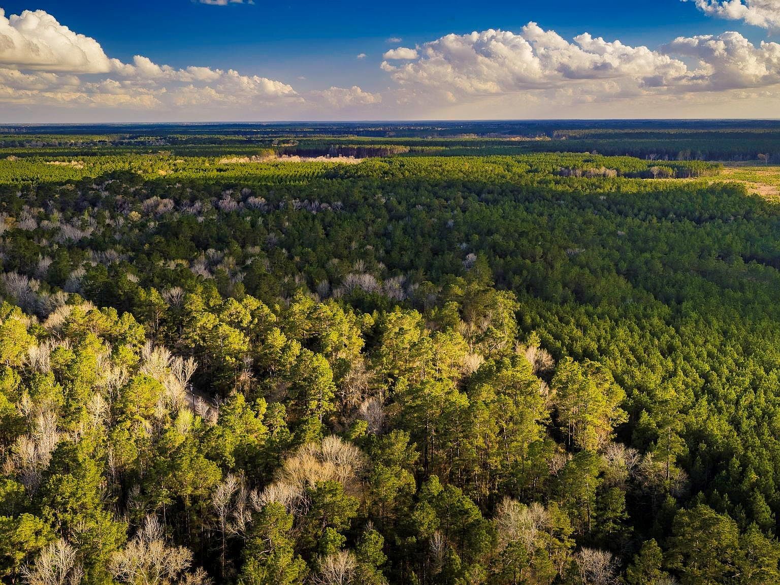 1 Holly Grove Rd Livingston, TX 77351 - Thumbnail 3