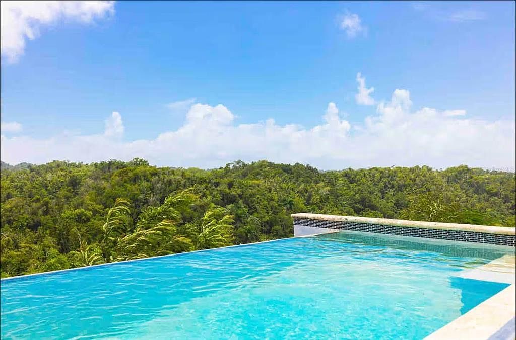 Barrio Centro Moca, PR 00676 - Thumbnail 3