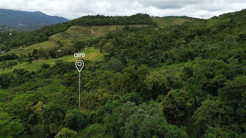 7 Km Pr #61-3 Ceiba, PR 00735 - Thumbnail 3