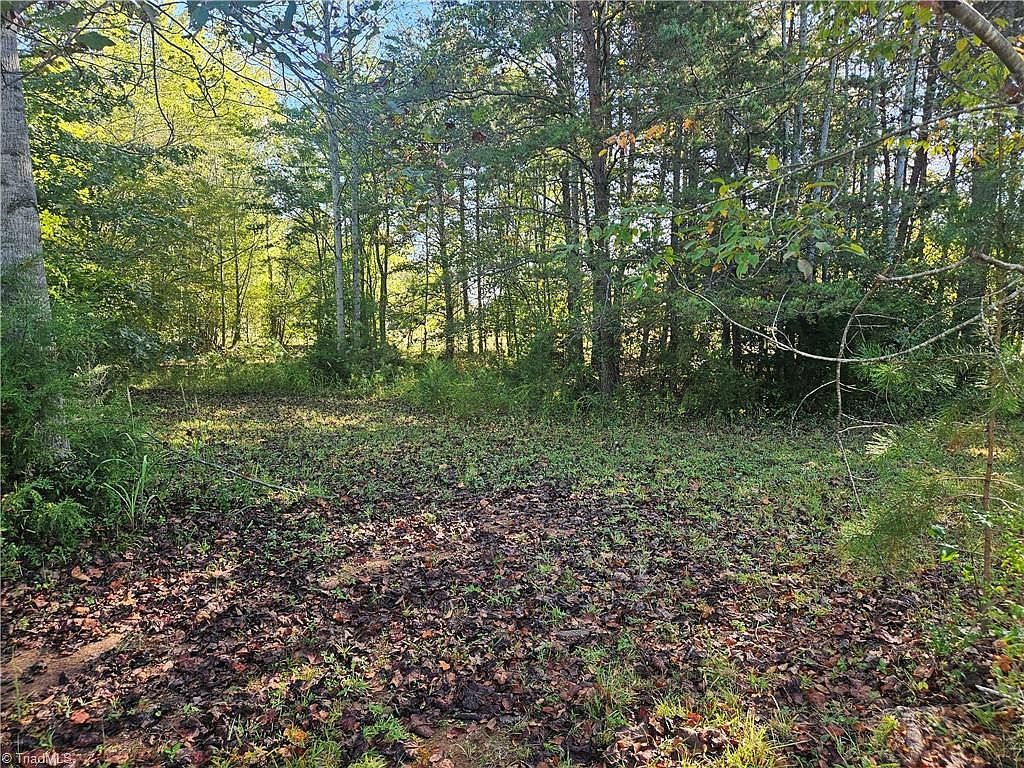 0 Dodgetown Rd Walnut Cove, NC 27052 - Thumbnail 3