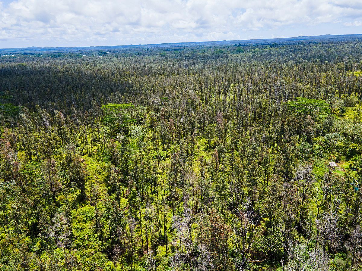 Aulii St Keaau, HI 96749 - Thumbnail 3