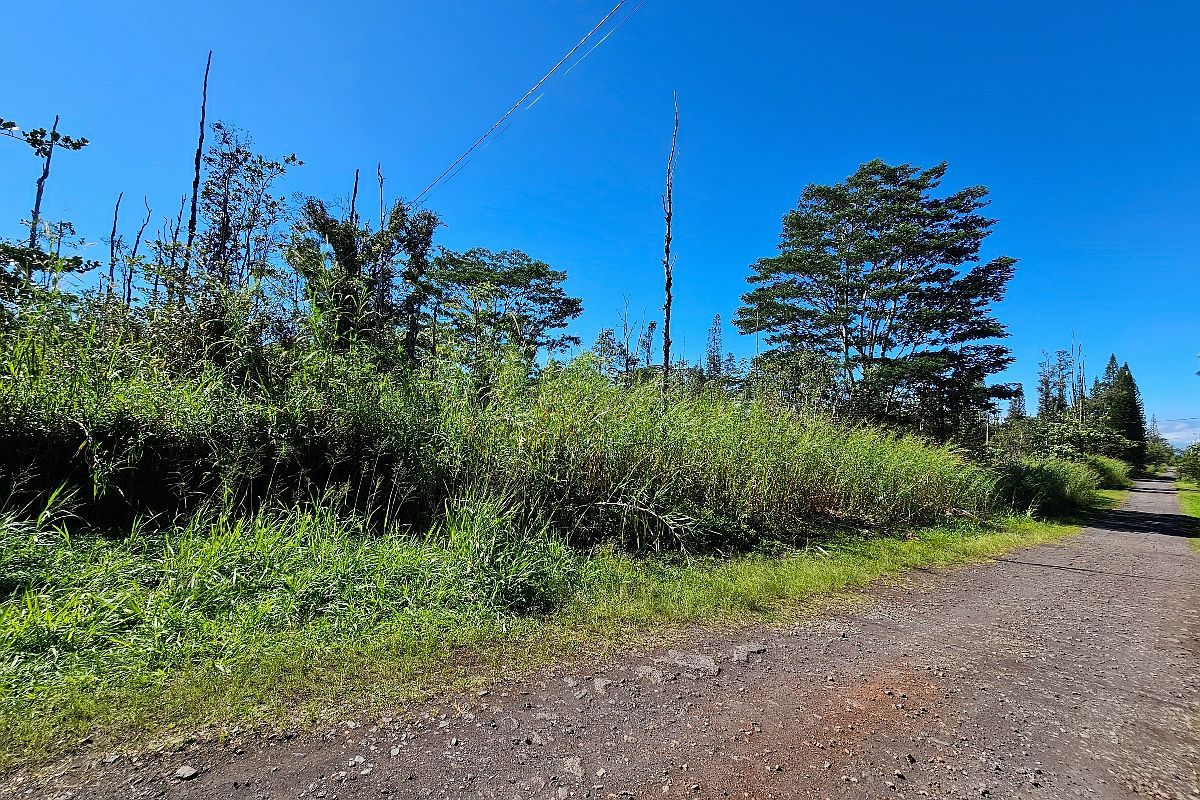 16-1920 36th Ave LOT 19 Kurtistown, HI 96760 - Thumbnail 3