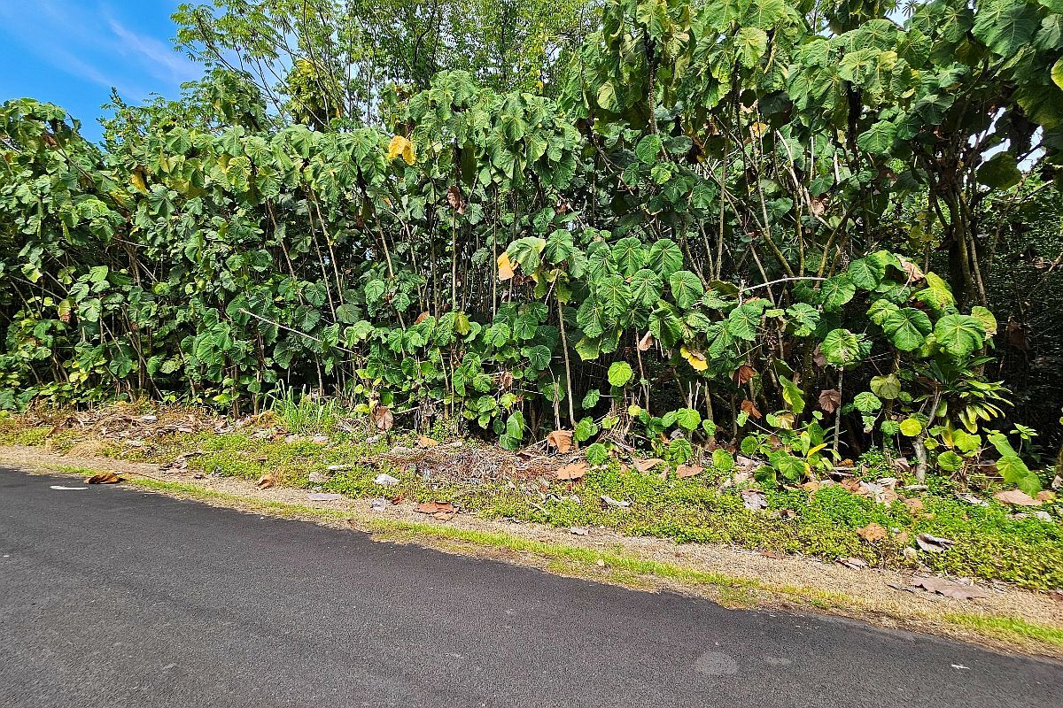 Papai St LOT 4 Pahoa, HI 96778 - Thumbnail 3