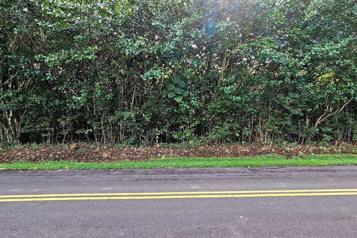 Puna Pkwy LOT 5 Pahoa, HI 96778 - Thumbnail 3