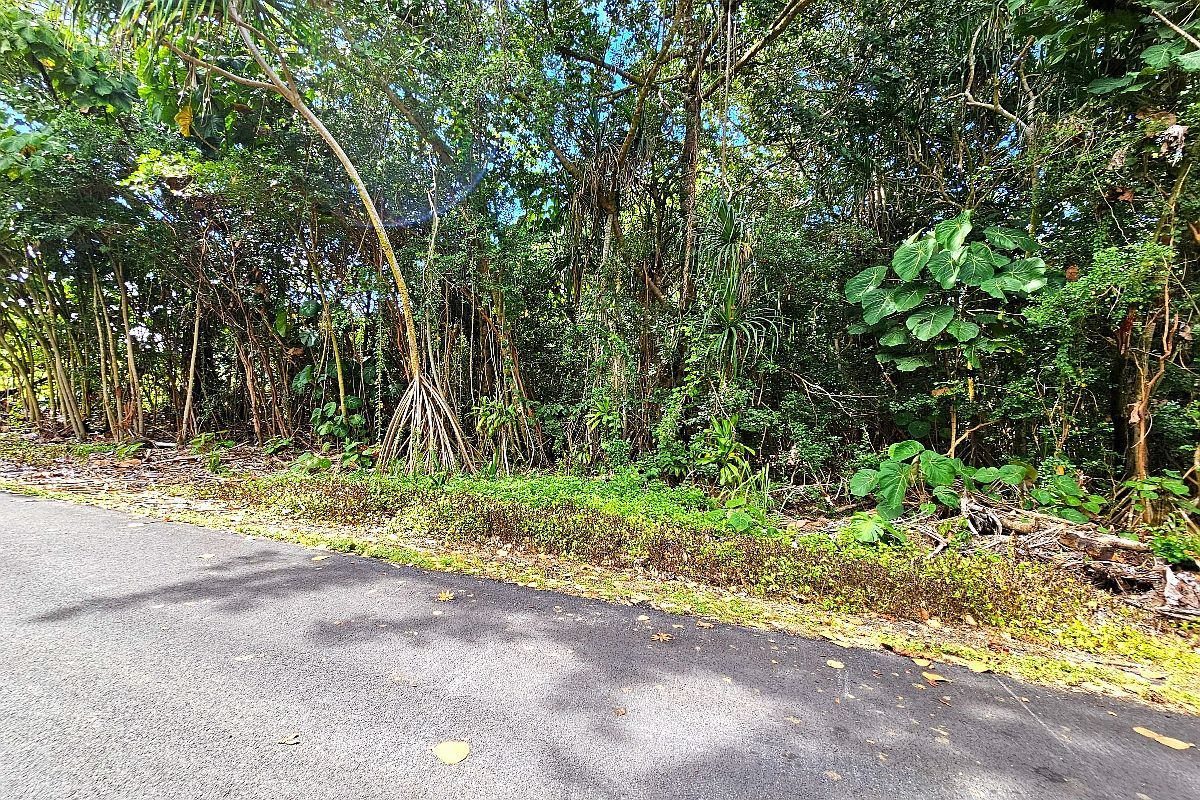Puni Kahakai St W Lot 7 Pahoa, HI 96778 - Thumbnail 3
