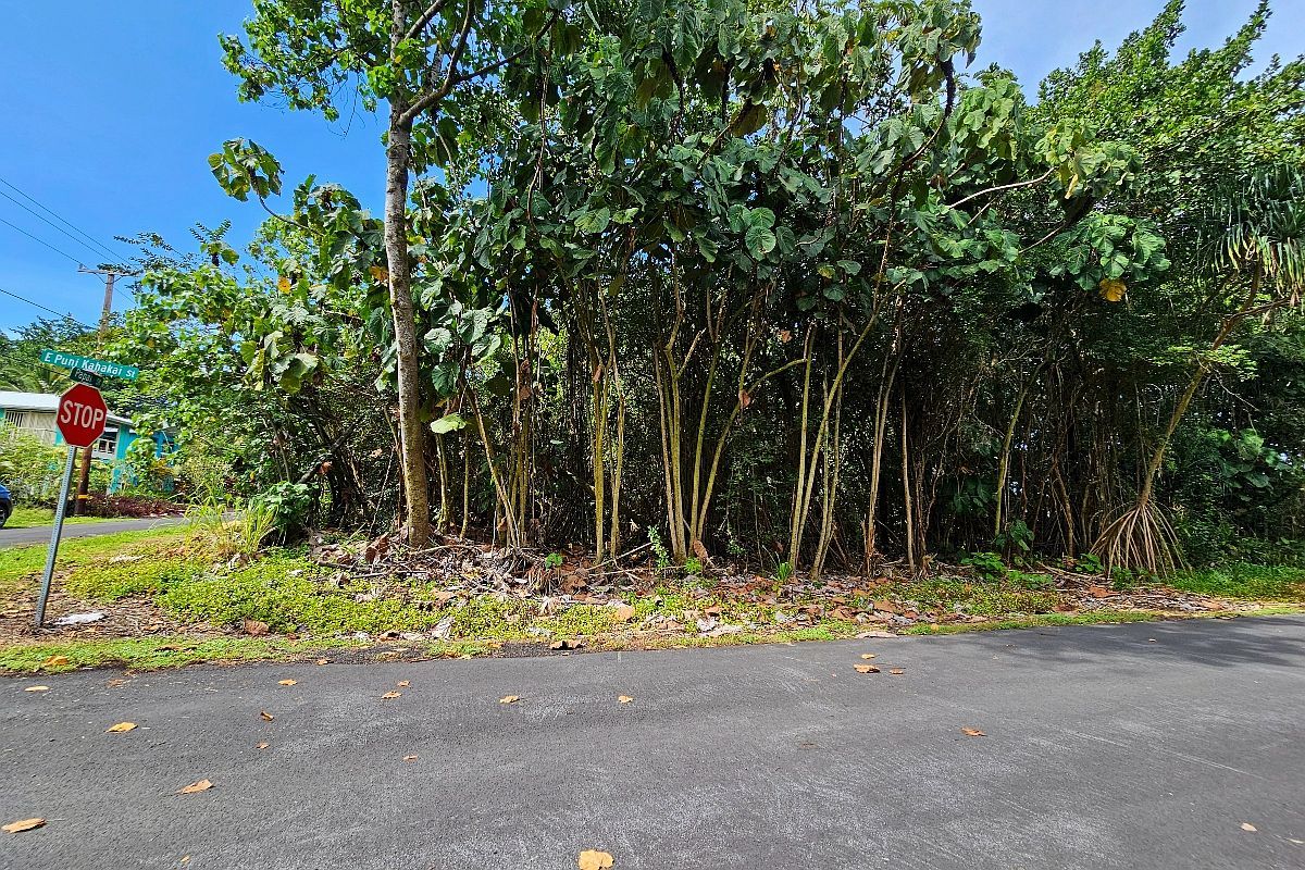 Papai St Lot 6 Pahoa, HI 96778 - Thumbnail 3