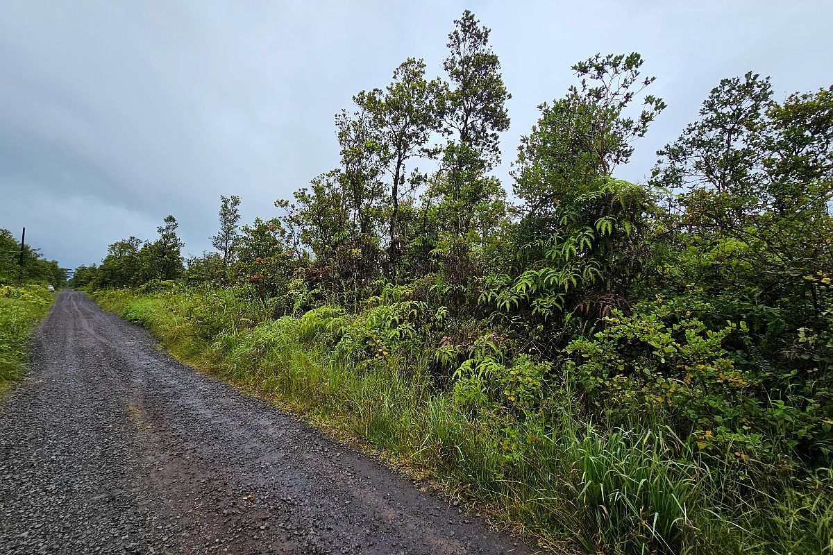 Makoa Rd Lot 5 Volcano, HI 96785 - Thumbnail 3