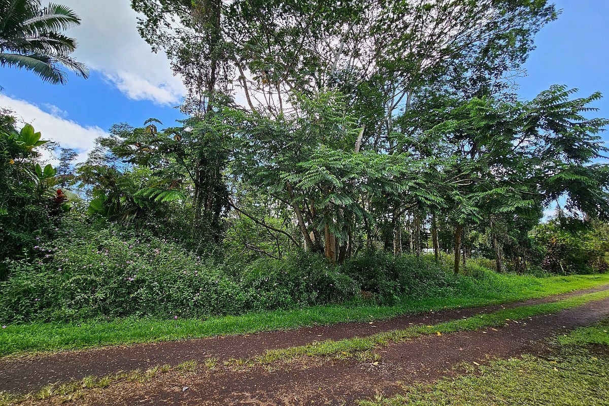 Priscilla Rd Lot 532 Pahoa, HI 96778 - Thumbnail 3