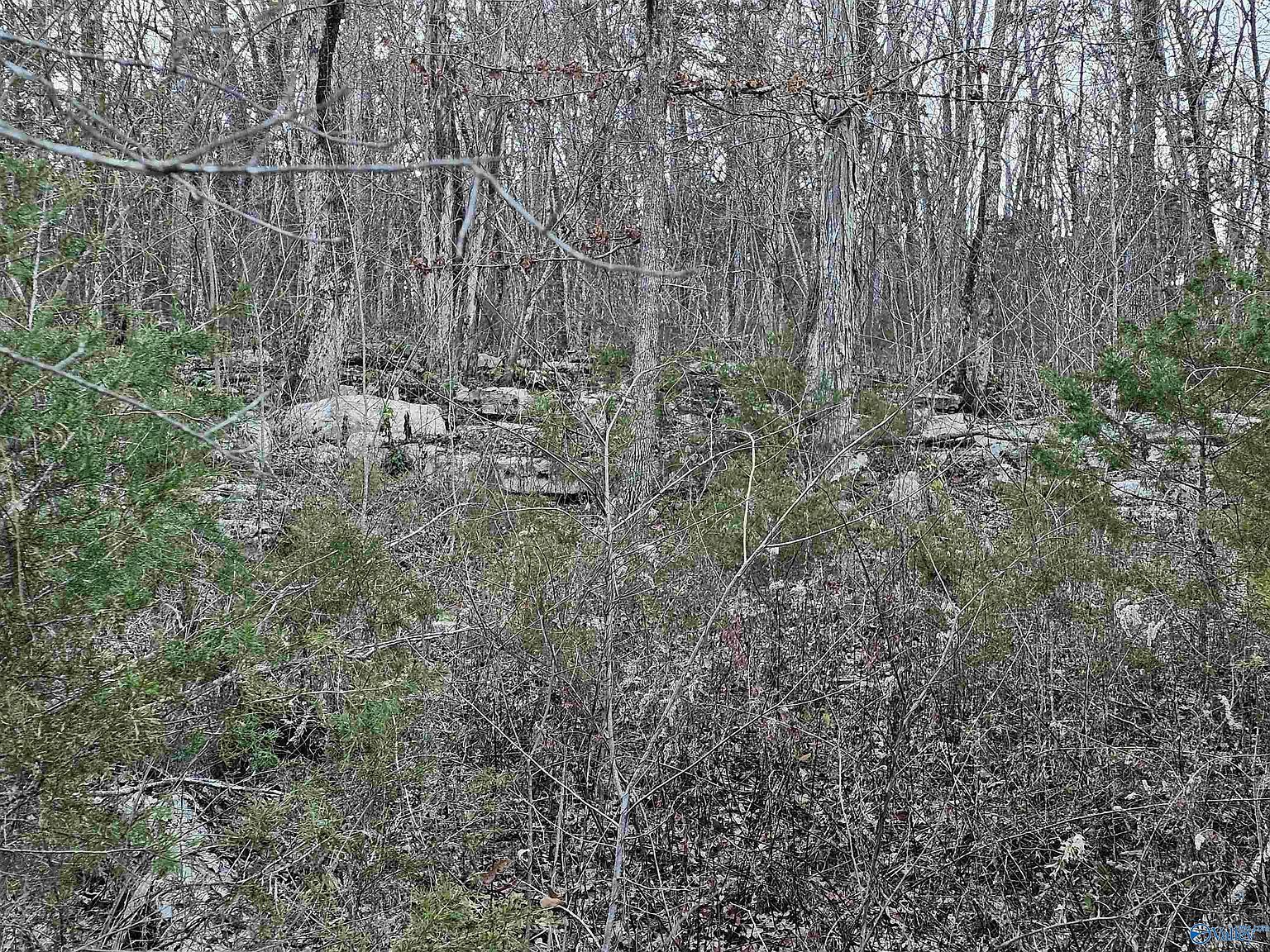 Wesley Childers Rd New Hope, AL 35760 - Thumbnail 3