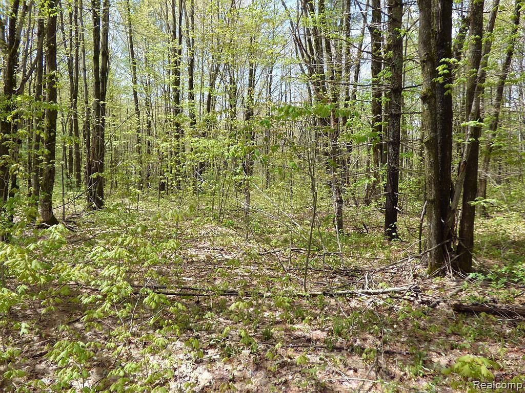 0 Valleywood Cir Elmira, MI 49730 - Thumbnail 3