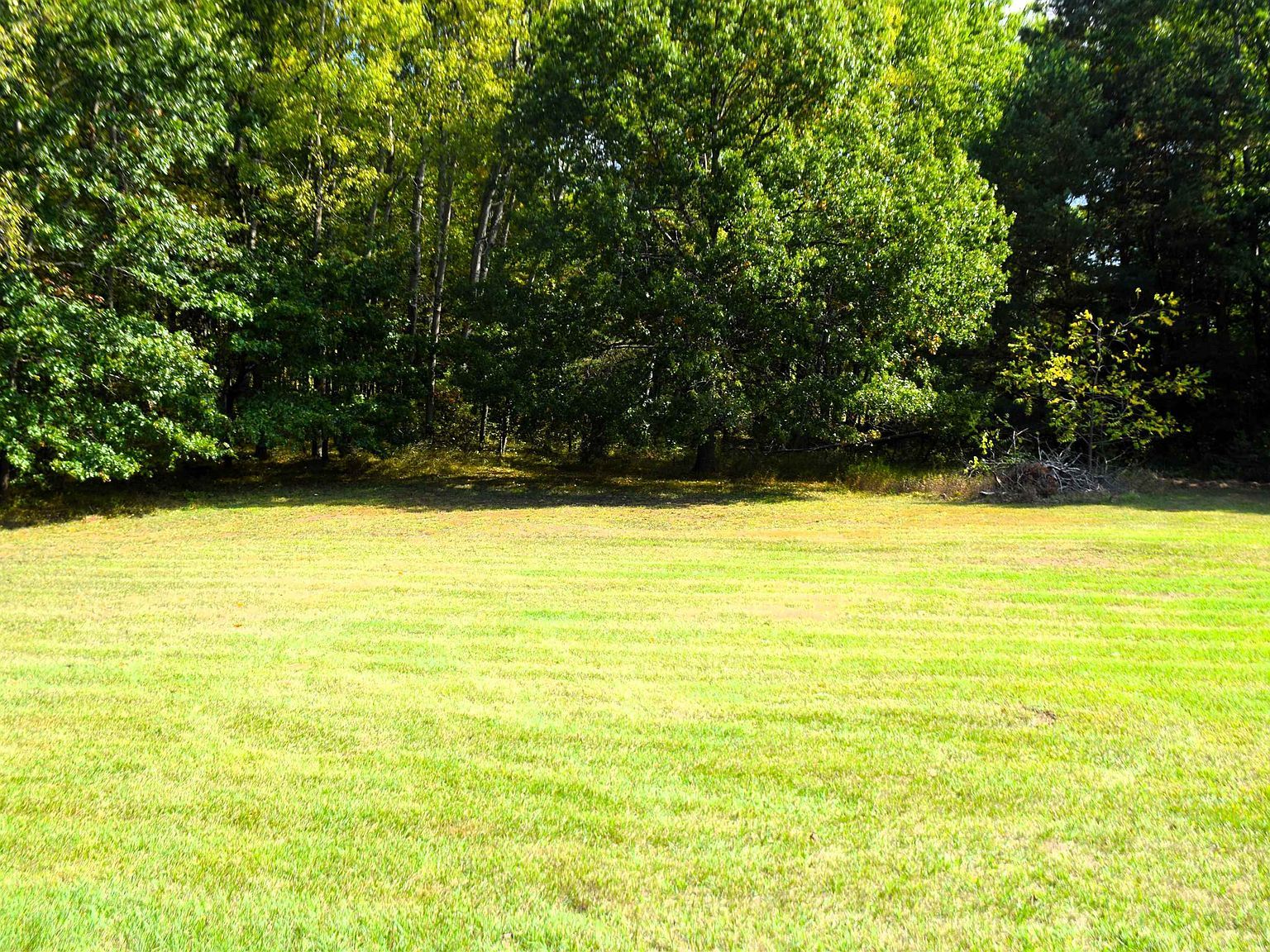 8568 W Ludington Dr Lake, MI 48632 - Thumbnail 3