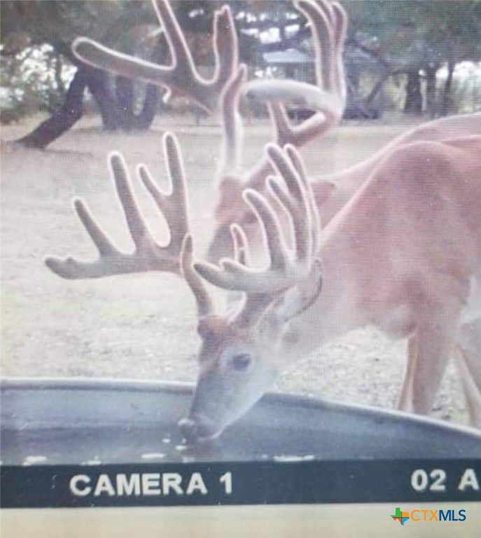 400 Indian Hills Rd Gatesville, TX 76528 - Thumbnail 3