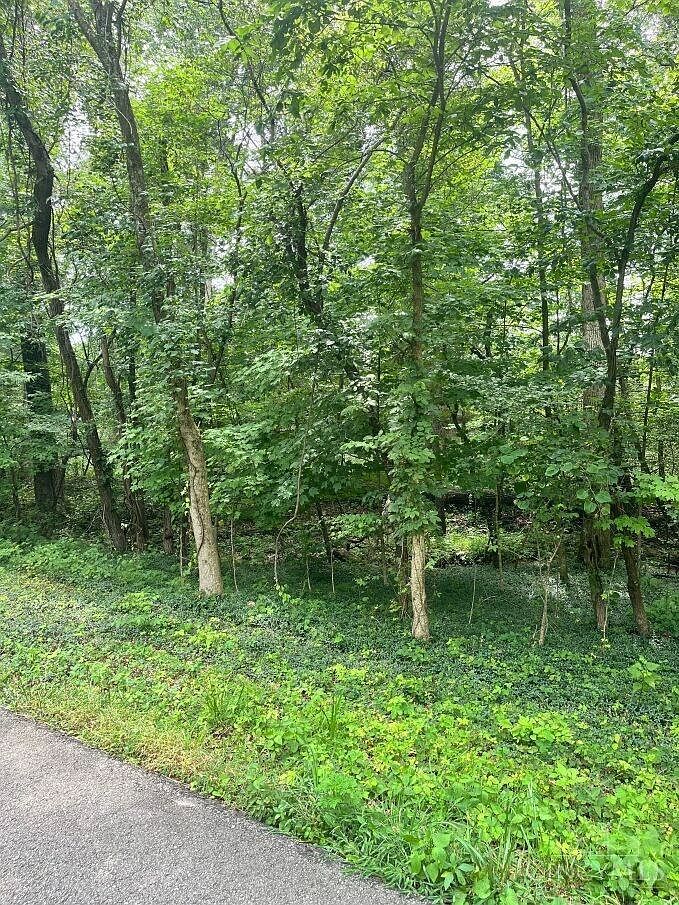 0 Horse Shoe Dr Sardinia, OH 45171 - Thumbnail 3