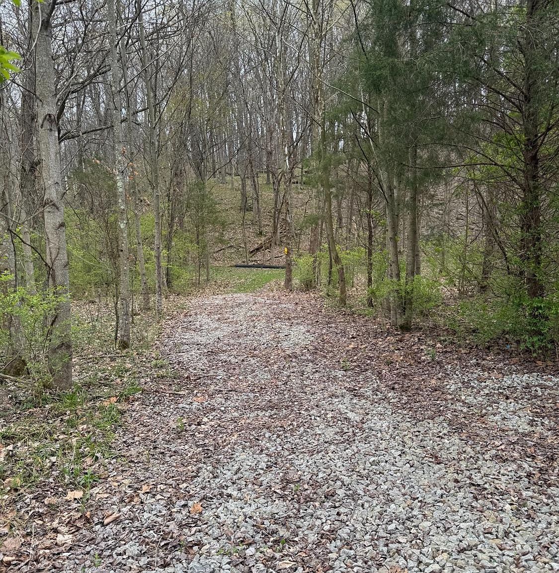 6 Stony Hollow Rd Georgetown, OH 45121 - Thumbnail 3