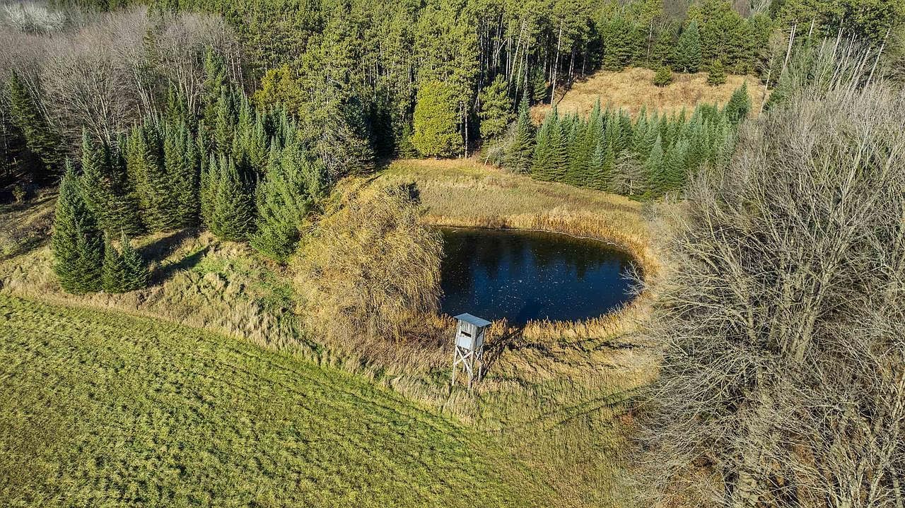 1 & 2 Maple Ln Tigerton, WI 54486 - Thumbnail 3