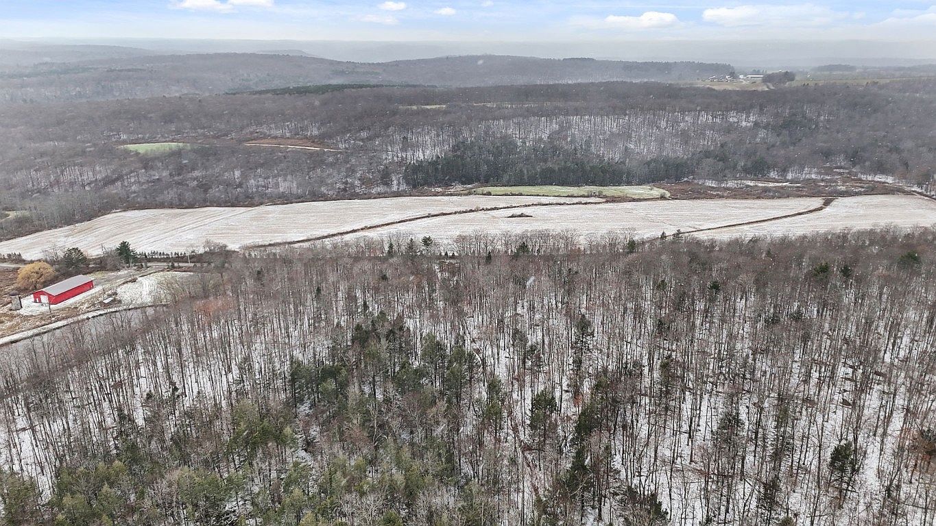 0 Lamb Rd Newark Valley, NY 13811 - Thumbnail 3